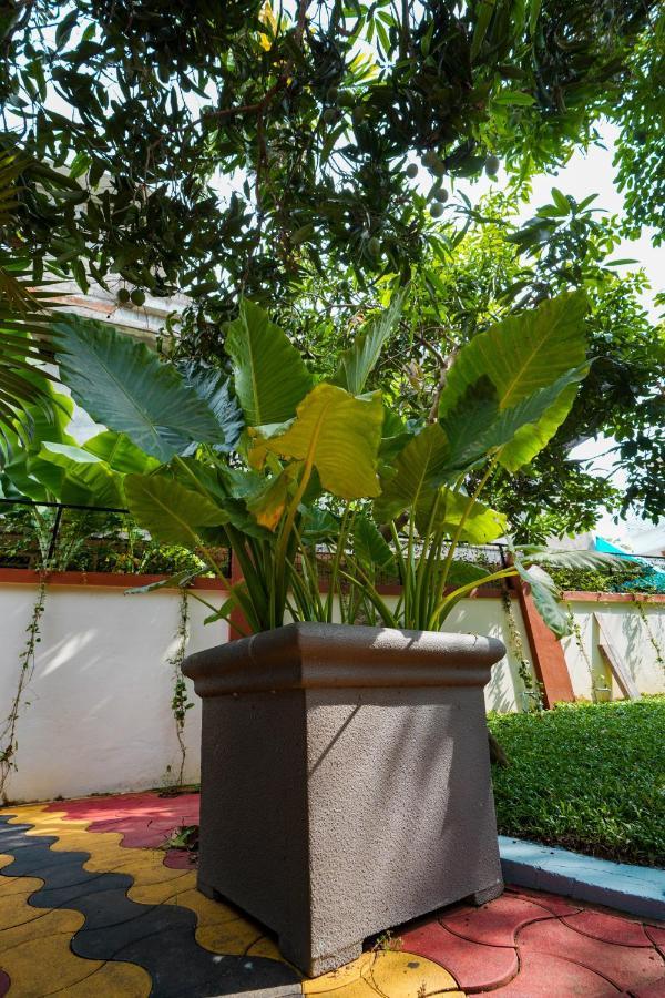 Parudeesa - Heavenly- Luxurious Palace Look-near Cbd - Kerala - India With Breakfast Homestay